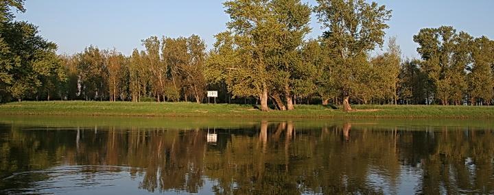 Gaestepension - Elsterland Am Sport- Und Freizeitpark Exteriör bild